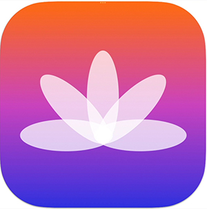 APP软件